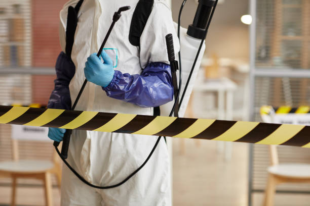 Professional Sewage Cleanup technician working in Lebanon, NH
